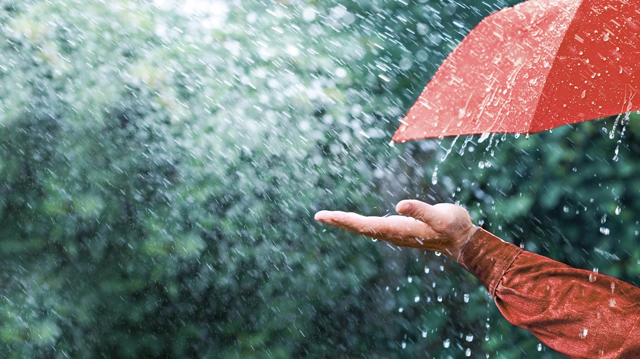 Exploring the Benefits of Rain: How Precipitation Enhances Our Ecosystem